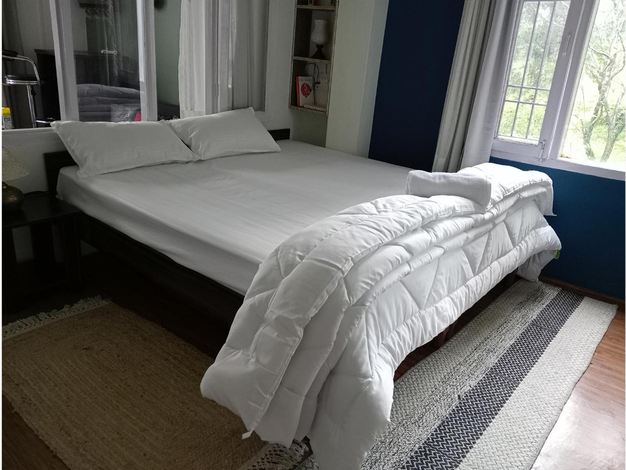 Mohija Homestay Kandaghat Luaran gambar