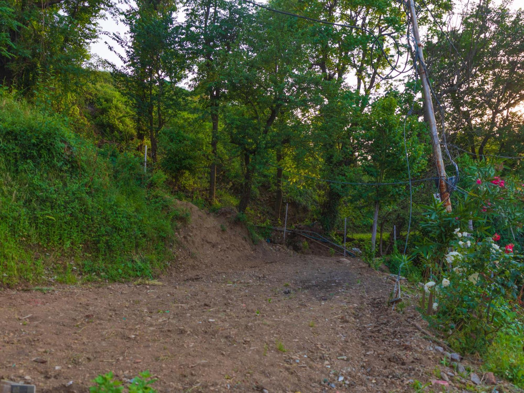 Mohija Homestay Kandaghat Luaran gambar